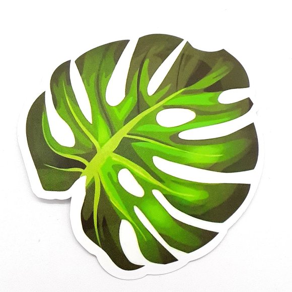 Accessories - Succulent Cactus Plants Stickers 10 for $15